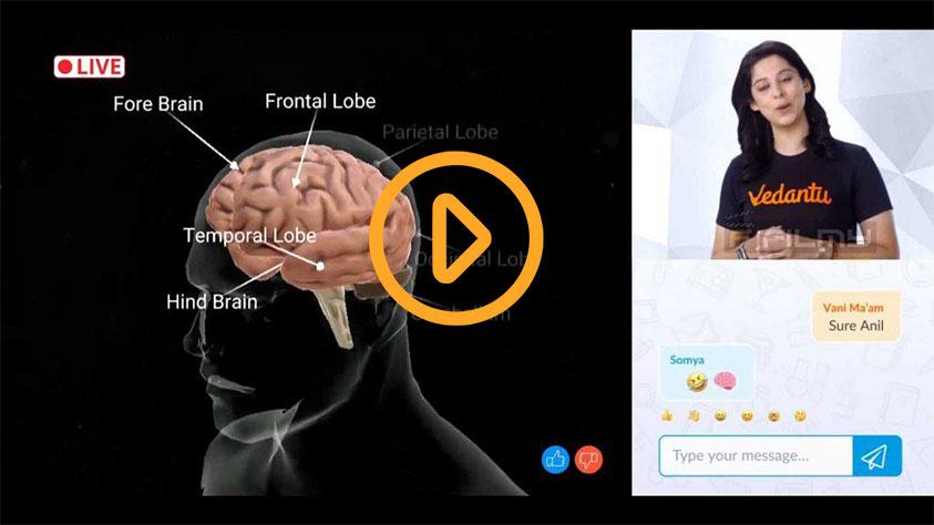 Portfolio: Vedantu TV Ads: Expertly Crafted by TV Commercial Production Company